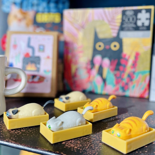 Racing Cats in Boxes