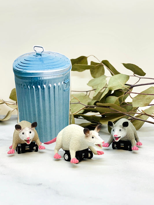 Racing Possum